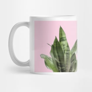 Pastel snake plant Mug